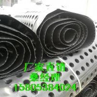 供应新余12高塑料排水板-郑州地下室排水板