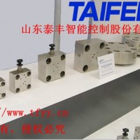 山东泰丰液压厂家直销TLFA25DBWAT控制盖板